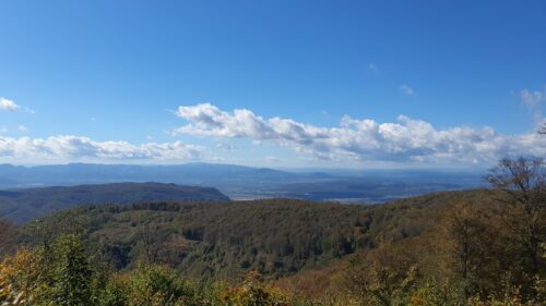 Vrh Veliki Plazur 869 m