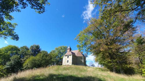 Vrh Veliki Plazur 869 m