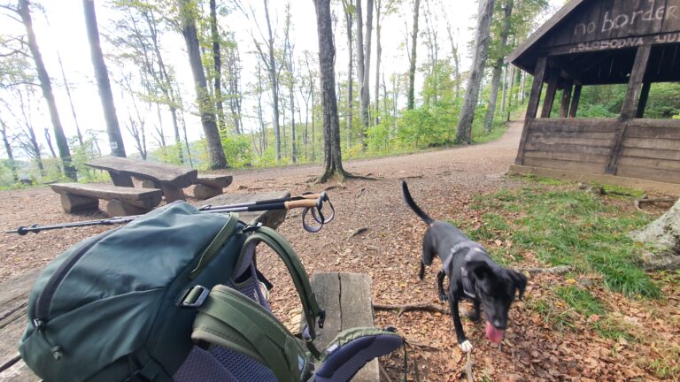 Planinarsko sklonište Plazur