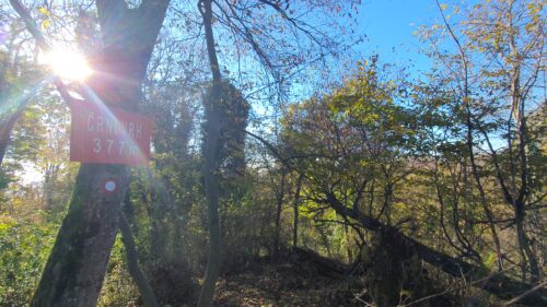 Črni vrh 377 m