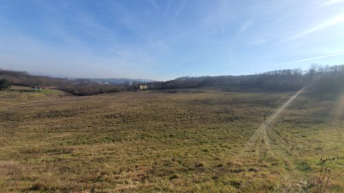 Crkva sv. Leonarda (Linarta)