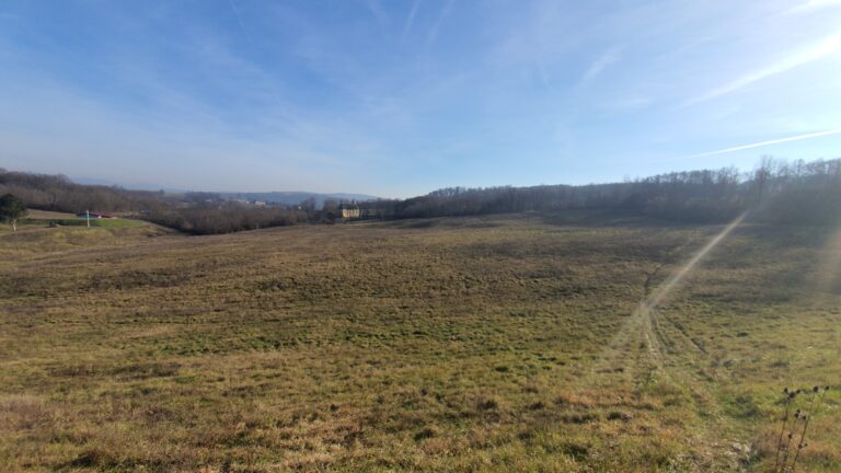 Crkva sv. Leonarda (Linarta)