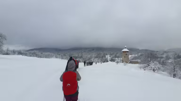 Stari grad Drežnik