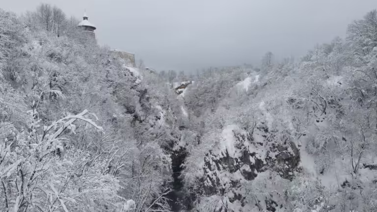 Stari grad Drežnik