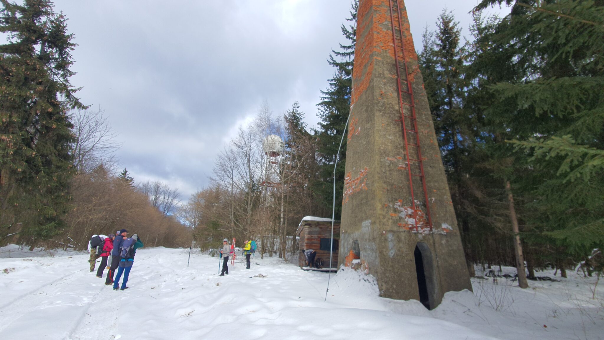Vrh Brezovo polje 985 m