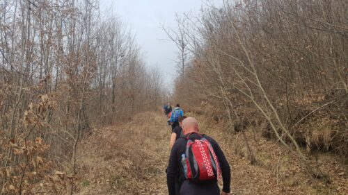 Psunj: Vrebijeva staza