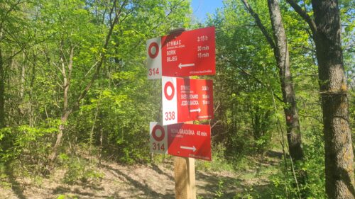 Križanje staza 314 i 338