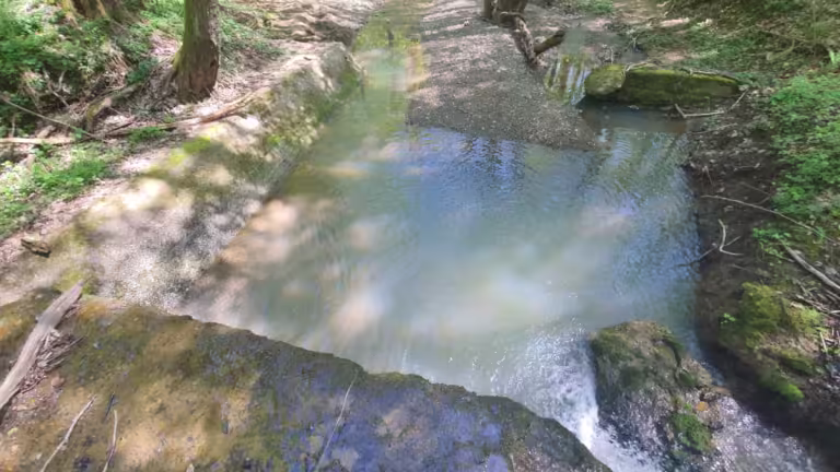 Potok Bačica