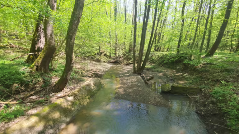 Potok Bačica