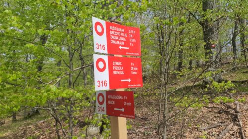 Križanje staza 316 i 314