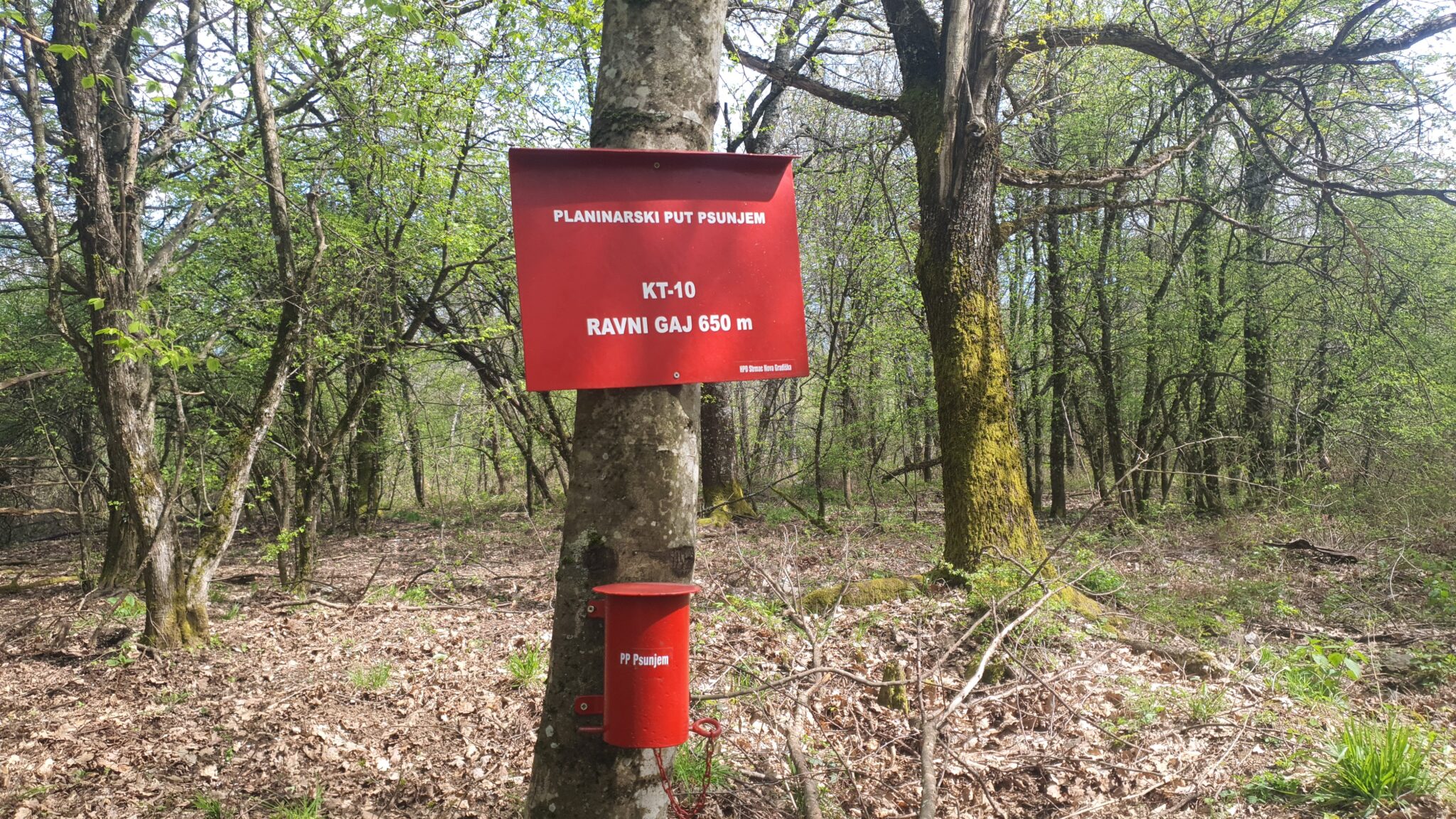 Vrh Ravni gaj 650 m