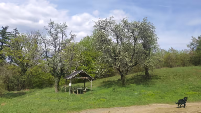 Livada Predola