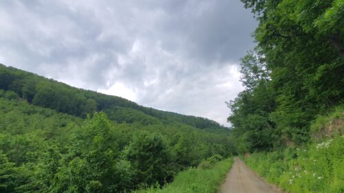 Psunj lagani hike