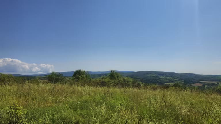 Vidikovac Lipovica