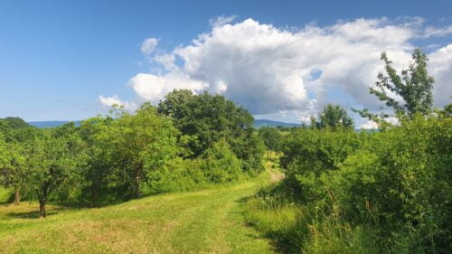 Lipovica – Biljeg – Bačica