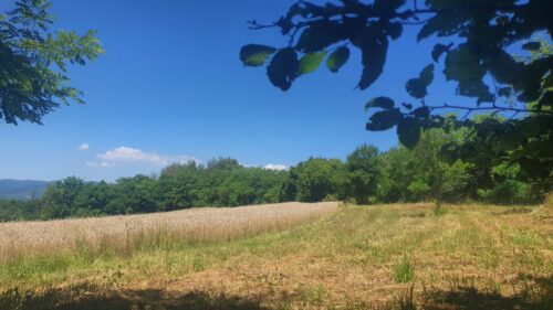 Šetnja cerničkim brdima II.