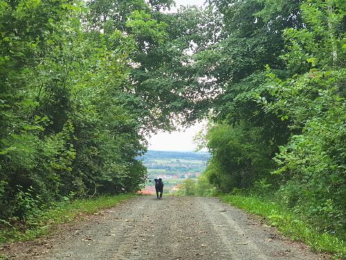 Vrebino brdo – Lipovica