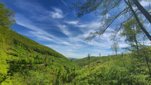 Vidikovac kod Bjelovačkog izvora