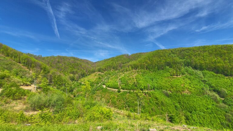 Vidikovac kod Bjelovačkog izvora