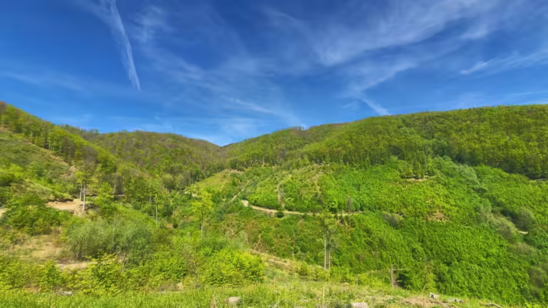 Vidikovac kod Bjelovačkog izvora