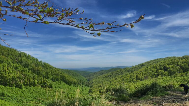 Vidikovac kod Bjelovačkog izvora