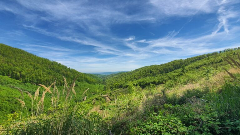 Vidikovac kod Bjelovačkog izvora