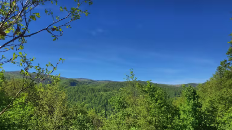 Vidikovac kod Predole