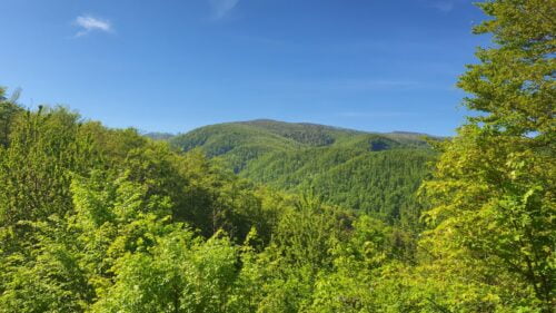 Vidikovac kod Predole