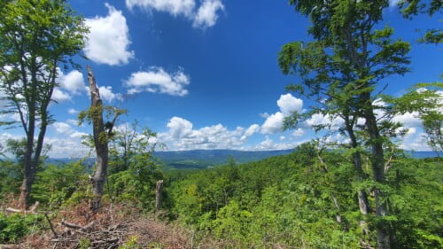 Pogled s utvrde Gračanica