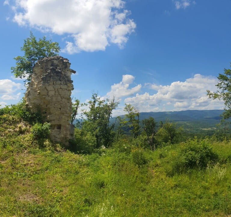 Utvrda Gračanica
