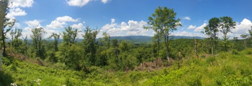 Pogled s utvrde Gračanica