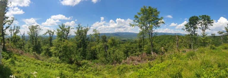 Pogled s utvrde Gračanica
