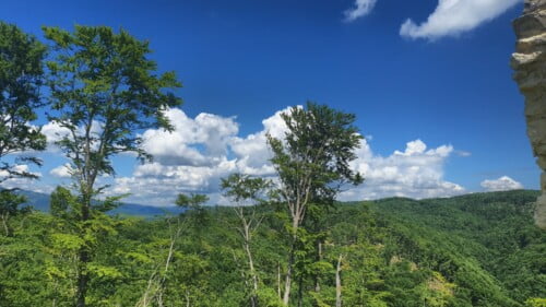 Pogled s utvrde Gračanica