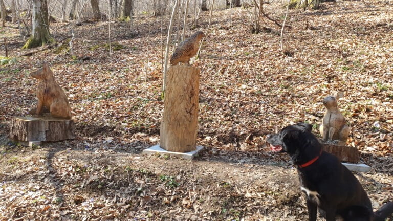 Izletište sa drvenim skulpturama