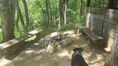 Planinarsko sklonište Lipa