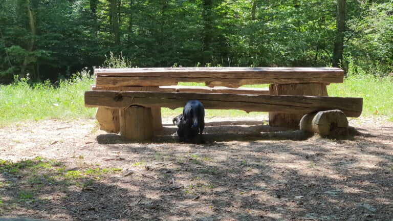 Izletište kod slapa Sopot