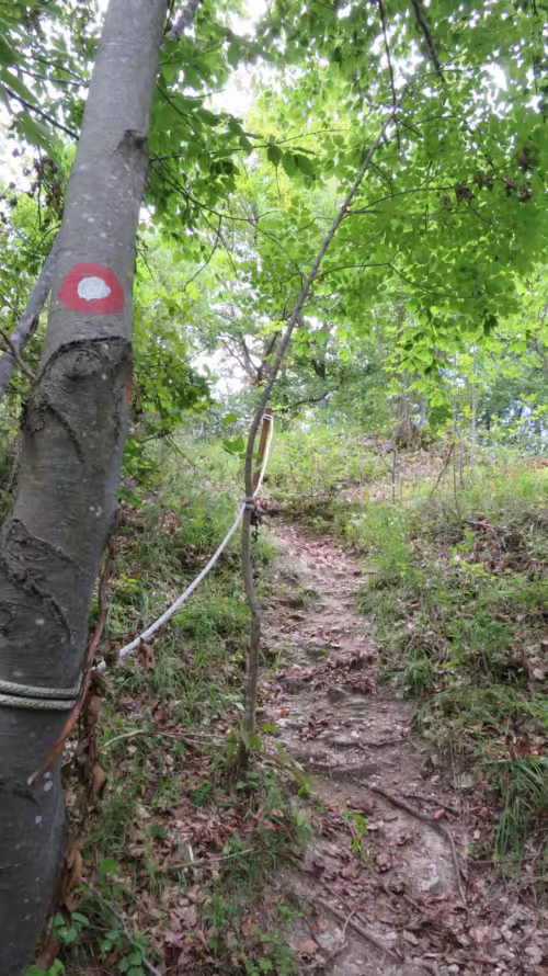 Babja gora, kula Gračanica
