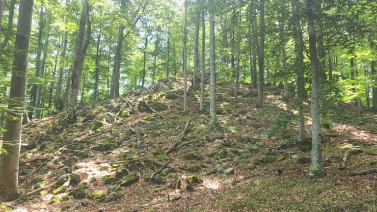 Vrh Gornji Previt 797 m