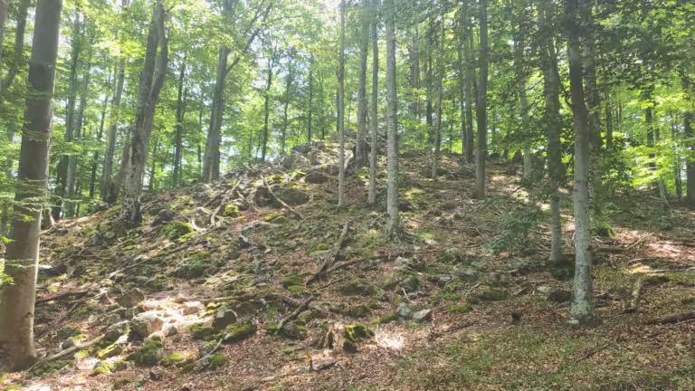 Vrh Gornji Previt 797 m