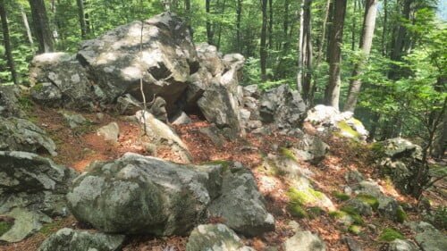 Vrh Gornji Previt 797 m