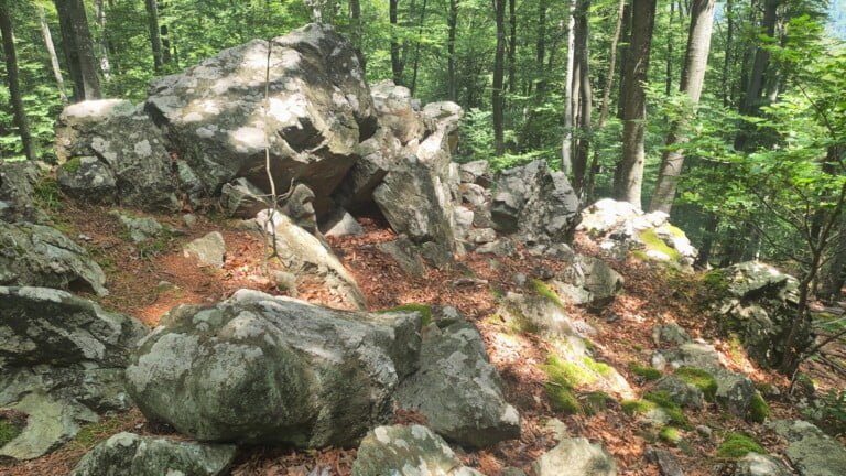 Vrh Gornji Previt 797 m