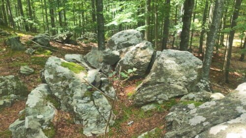 Vrh Gornji Previt 797 m