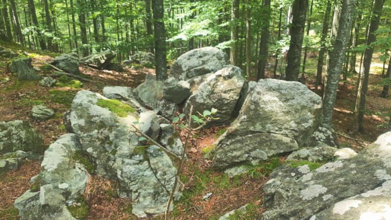 Vrh Gornji Previt 797 m