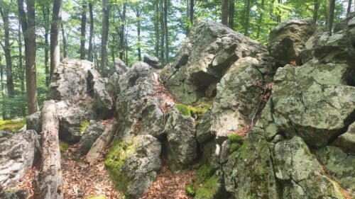 Vrh Gornji Previt 797 m