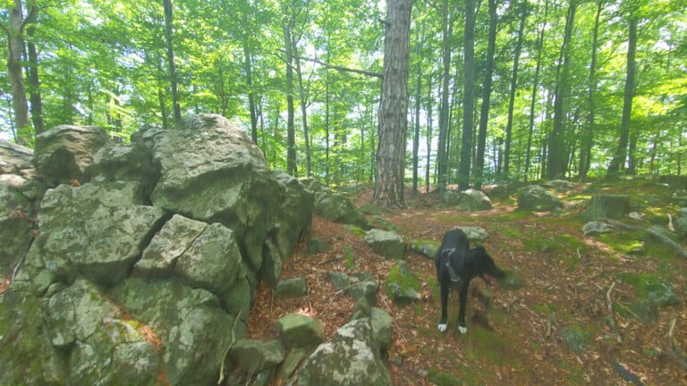 Vrh Gornji Previt 797 m