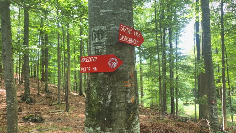 Vrh Gornji Previt 797 m