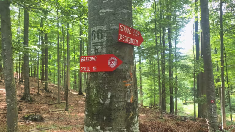 Vrh Gornji Previt 797 m