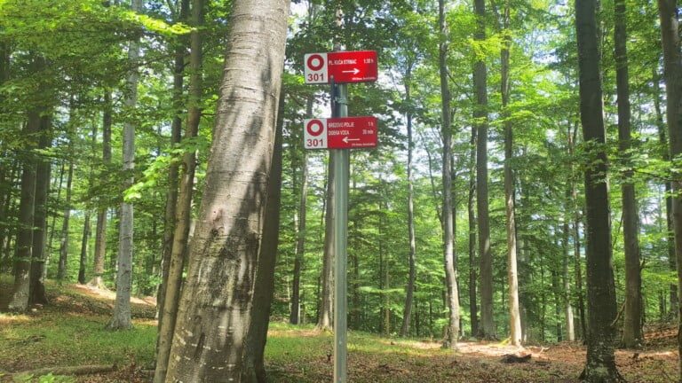 Vrh Gornji Previt 797 m