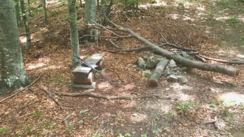 Vrh Gornji Previt 797 m