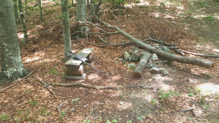 Vrh Gornji Previt 797 m